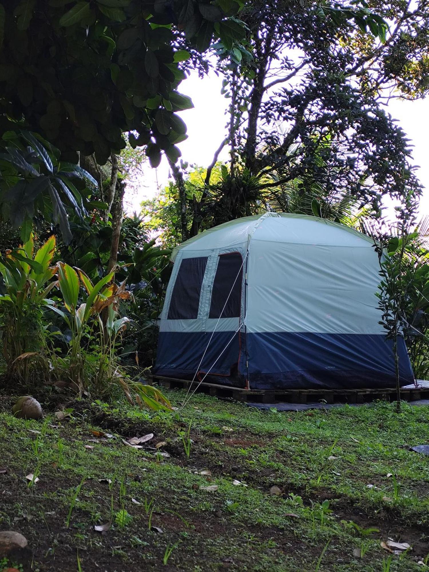 Camping A La Ferme Gros-Morne Exterior foto